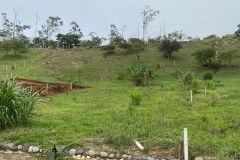 IMG-20230117-WA0033