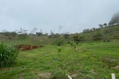 IMG-20230117-WA0037