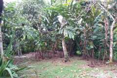 WhatsApp-Image-2021-11-17-at-1.45.14-PM-1