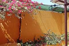 IMG-20240320-WA0028