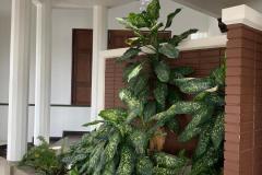 IMG-20240428-WA0034
