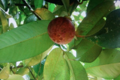 IMG-20230710-WA0019