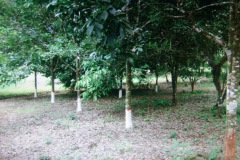 IMG-20230710-WA0022