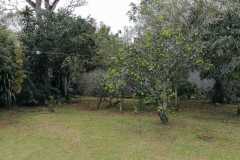 sanrafa6