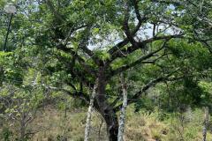IMG-20240502-WA0009