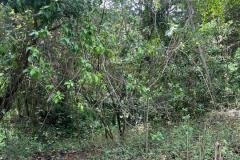 IMG-20240502-WA0016