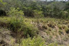 IMG-20240502-WA0017