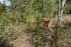 IMG-20240502-WA0019