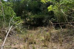 IMG-20240502-WA0020