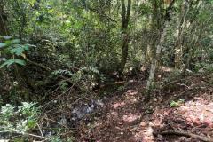 IMG-20240502-WA0022
