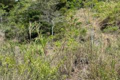 IMG-20240502-WA0023