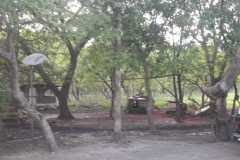 Finca-Guanacaste-Bagaces2