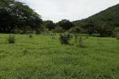 Finca-Guanacaste-Nicoya-Corralillo3