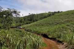 Finca-Piedades-Norte-San-Ramón10