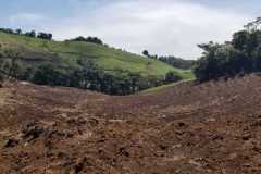 Finca-Piedades-Norte-San-Ramón2