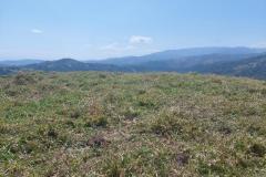 IMG-20230727-WA0019