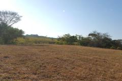 Finca-Puntarenas-Cobano-Río-Negro4