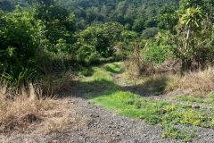 IMG-20240609-WA0039