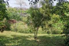 IMG-20230724-WA0005