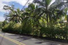 IMG-20230724-WA0008
