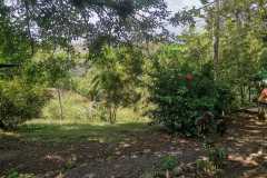 IMG-20230724-WA0016