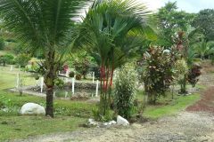 IMG-20230816-WA0016