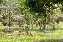 IMG-20230816-WA0019