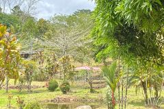 IMG-20230816-WA0022