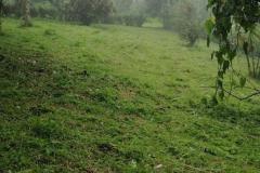 chachaguas06
