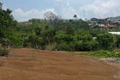 IMG-20240505-WA0019