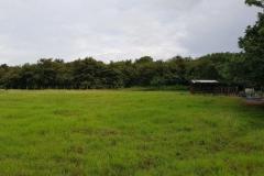 Lote-Guanacaste-Carrillo-Sardinal10