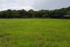 Lote-Guanacaste-Carrillo-Sardinal12