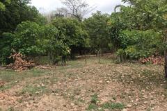 Lote-Puntarenas-Garabito-Herradura2