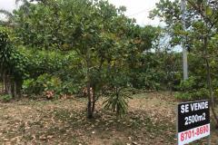 Lote-Puntarenas-Garabito-Herradura3
