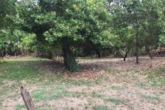 Lote-Puntarenas-Garabito-Herradura4