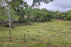 IMG-20230503-WA0021