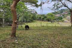 IMG-20230503-WA0023