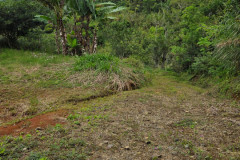 Imagen-de-WhatsApp-2025-12-04-a-las-11.23.01_8aec31ae