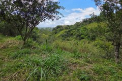 Imagen-de-WhatsApp-2025-12-04-a-las-11.23.02_377d583a