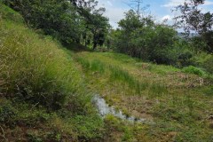 Imagen-de-WhatsApp-2025-12-04-a-las-11.23.07_0a623740