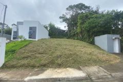 IMG-20250820-WA0037