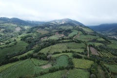 Lotes-Alajuela-San-Ramón-Piedades-Norte2