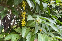 IMG-20250407-WA0017