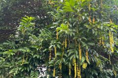 IMG-20250407-WA0018
