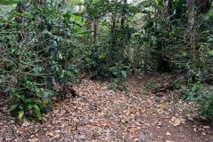 IMG-20250407-WA0021