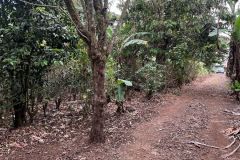 IMG-20250407-WA0022