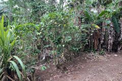 IMG-20250407-WA0028
