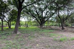 lotes_liberia01