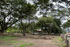 lotes_liberia03
