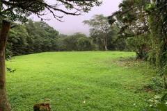 bajolapaz003